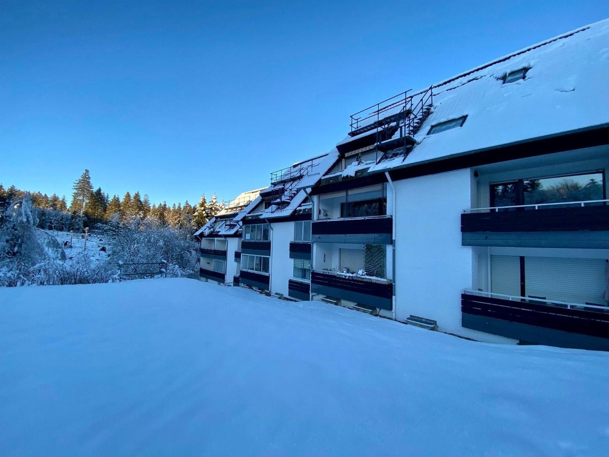 Ferienwohnung Waldgaenger Hahnenklee Γκόσλαρ Εξωτερικό φωτογραφία